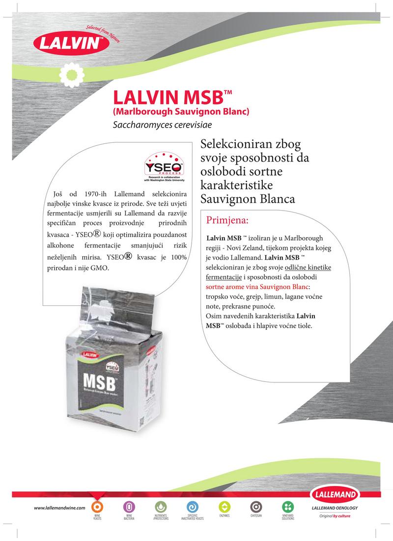 Lalvin MSB 01
