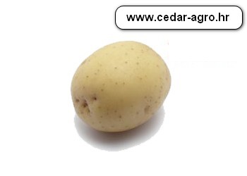 krumpir sjem colomba