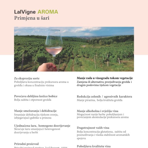 2020 LALVIGNE ROSE HRV 03