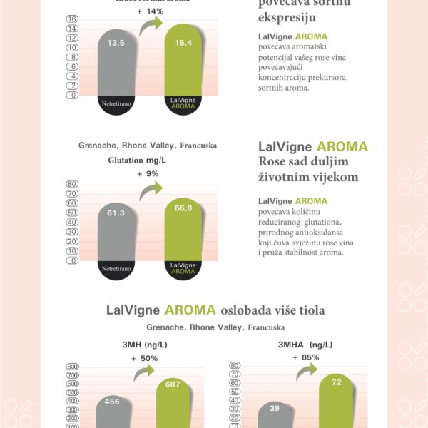 2020 LALVIGNE ROSE HRV 05