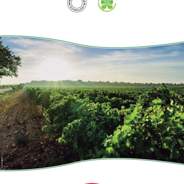 LalVigne brosura compressed 02