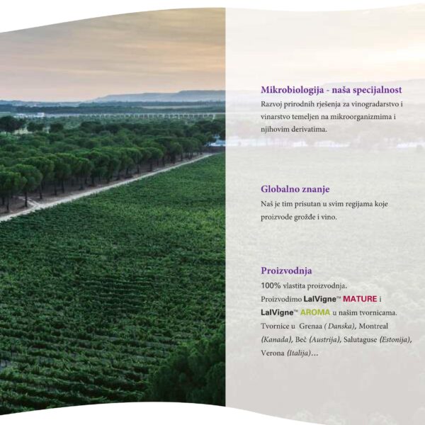 LalVigne brosura compressed 05