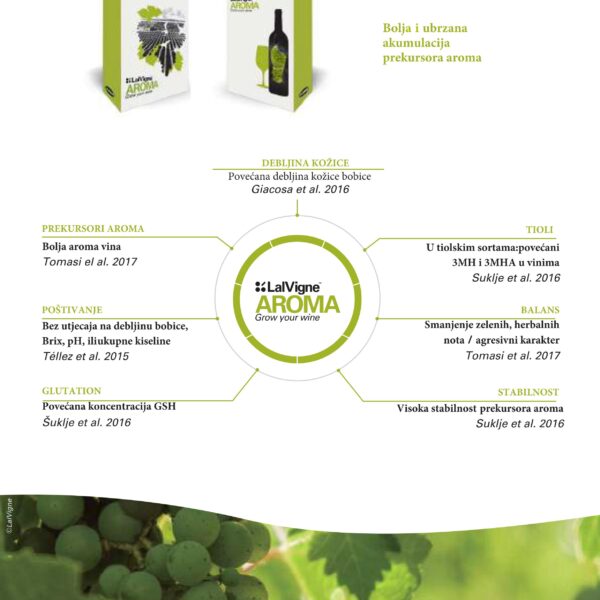 LalVigne brosura compressed 10