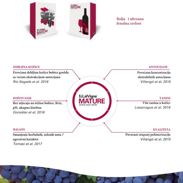 LalVigne brosura compressed 12