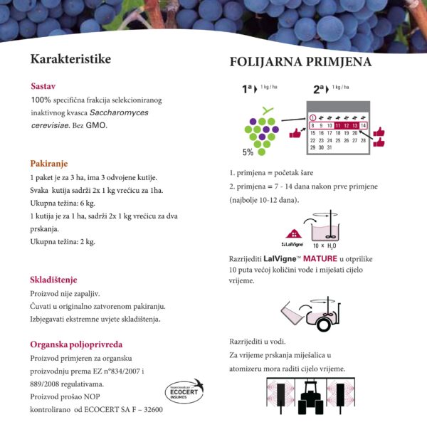 LalVigne brosura compressed 13