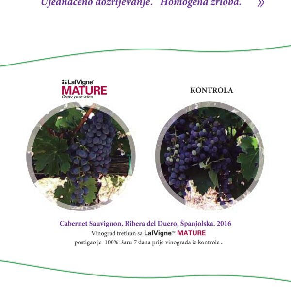 LalVigne brosura compressed 15