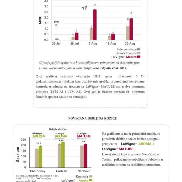 LalVigne brosura compressed 17