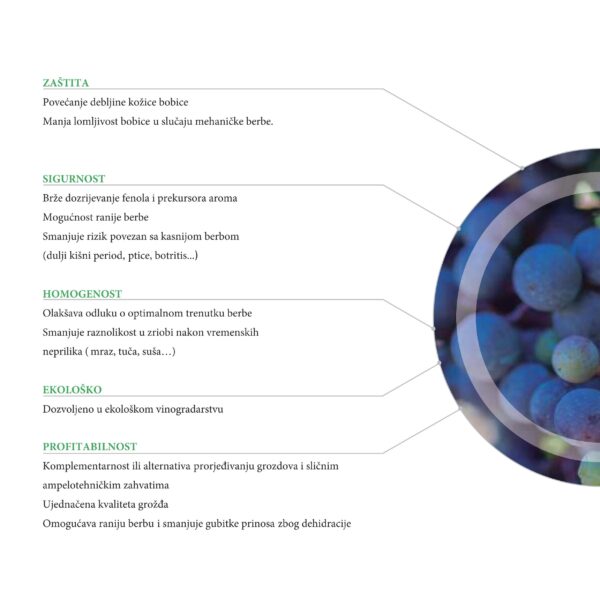 LalVigne brosura compressed 18