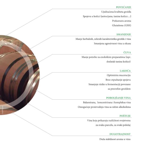 LalVigne brosura compressed 19