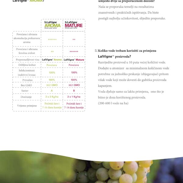 LalVigne brosura compressed 22