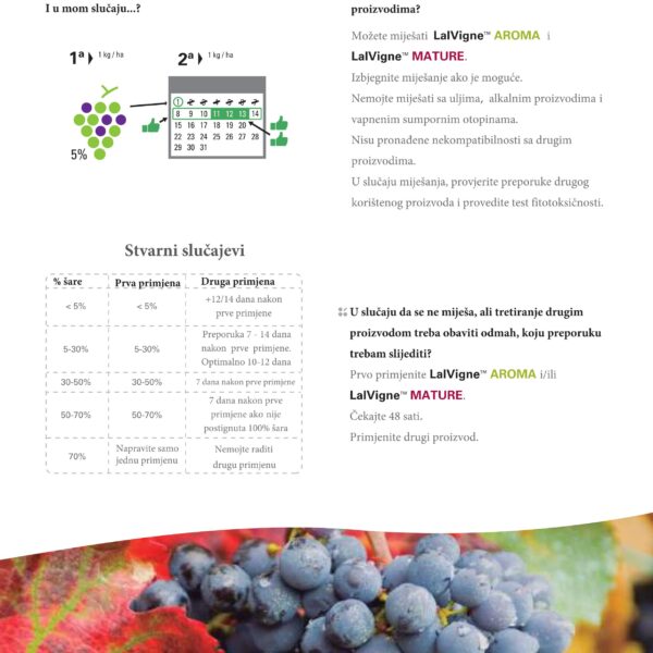 LalVigne brosura compressed 23