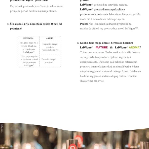 LalVigne brosura compressed 24