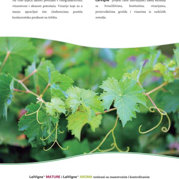 LalVigne brosura compressed 26