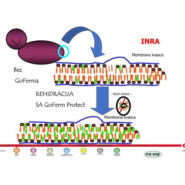 MIKROHRANIVA compressed 15