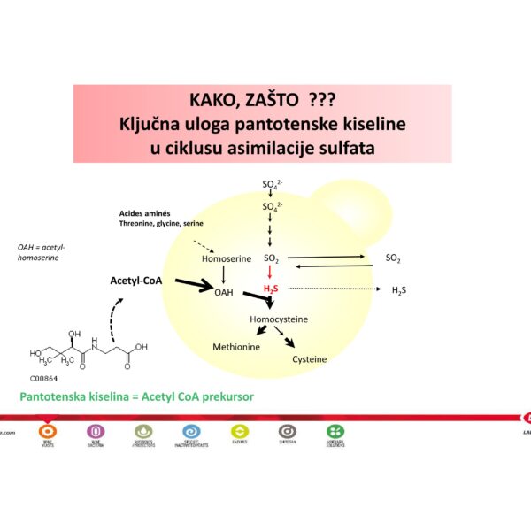 MIKROHRANIVA compressed 19