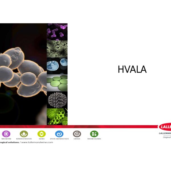 MIKROHRANIVA compressed 24