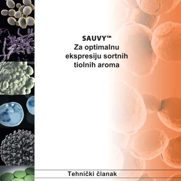 Sauvy   hrv compressed 01