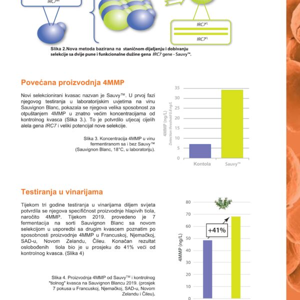 Sauvy   hrv compressed 03
