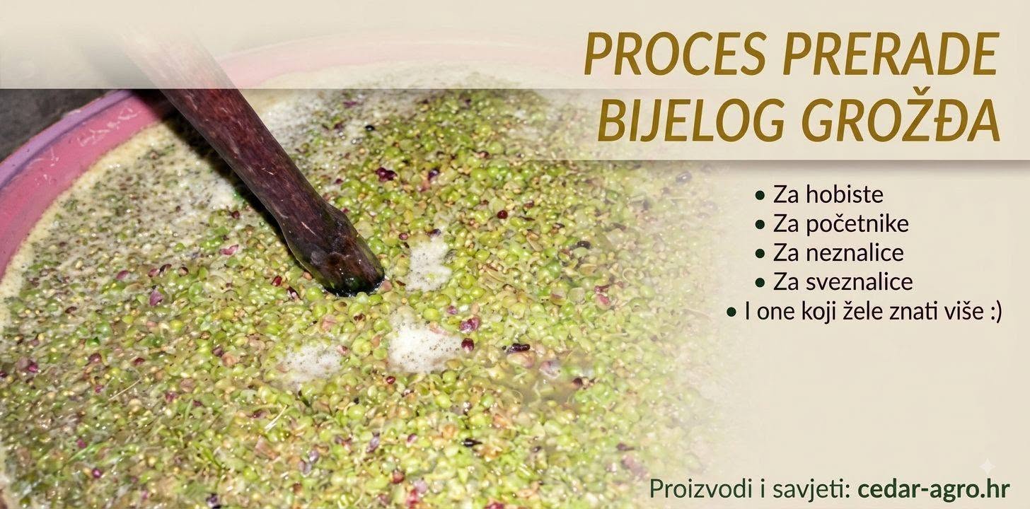 Bijelo