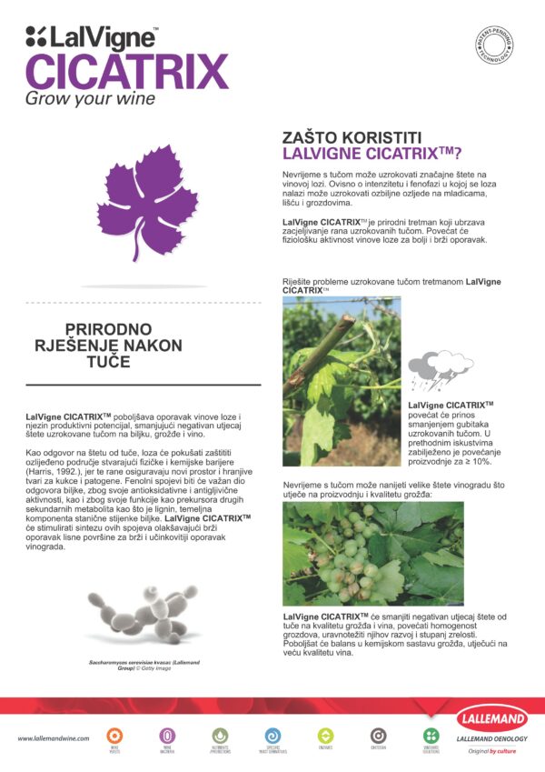 LalVigne® Cicatrix 1 kg