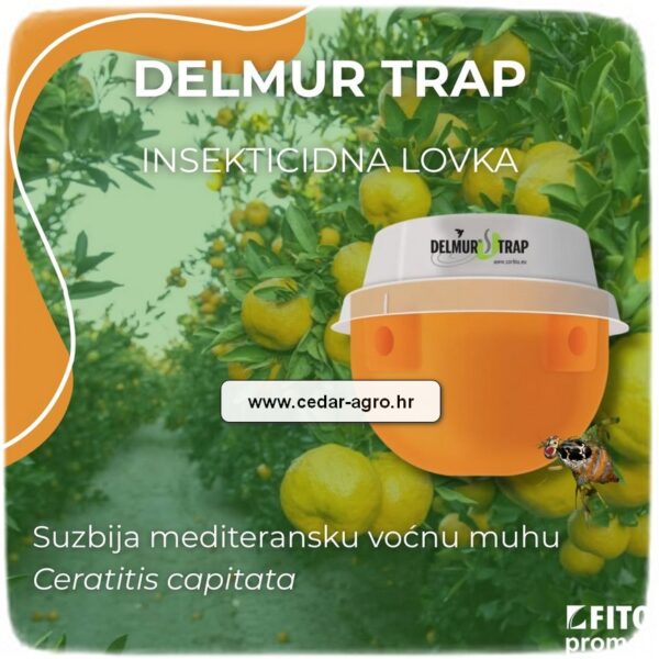 Delmur Trap  /1 kom